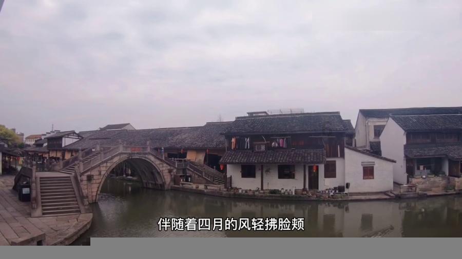 被哈士奇尾随30米，竟是因为它认错了主人？